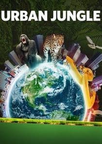 Urban Jungle thumbnail