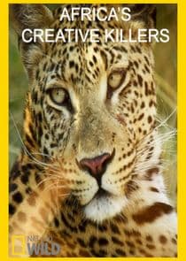 Africa's Creative Killers thumbnail