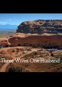 Three Wives, One Husband thumbnail