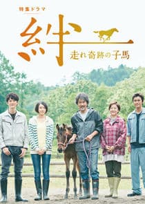 Ties: A Miraculous Colt thumbnail