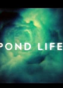 Pond Life thumbnail