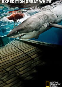 Expedition Great White thumbnail
