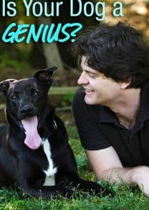 Is Your Dog a Genius? thumbnail