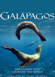 Galapagos thumbnail