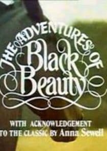 The New Adventures of Black Beauty thumbnail
