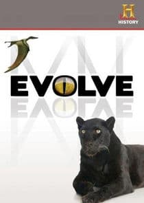 Evolve thumbnail