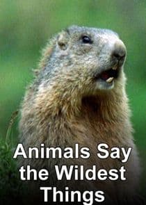 Animals Say the Wildest Things thumbnail
