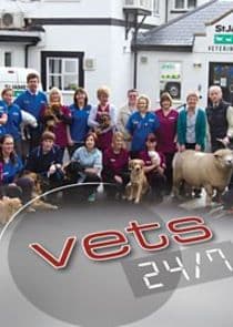 Vets 24/7 thumbnail