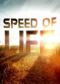 Speed of Life thumbnail