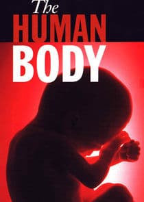 The Human Body thumbnail