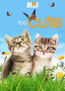 Too Cute! thumbnail