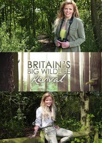 Britain's Big Wildlife Revival thumbnail
