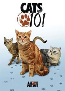 Cats 101 thumbnail