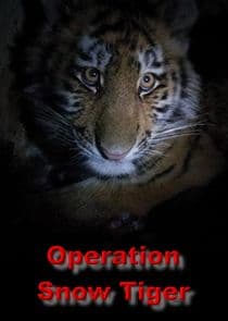 Operation Snow Tiger thumbnail