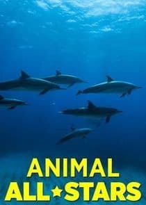 Animal All-Stars thumbnail
