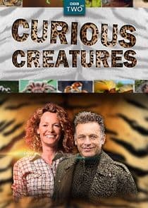Curious Creatures thumbnail