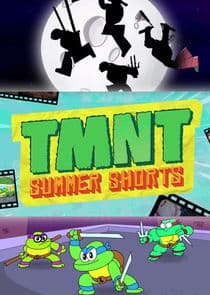 TMNT Summer Shorts thumbnail