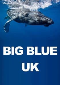 Big Blue UK thumbnail