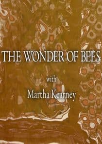 The Wonder of Bees with Martha Kearney thumbnail