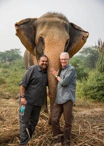 Paul O'Grady: For the Love of Animals - India thumbnail