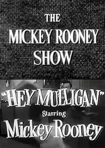 The Mickey Rooney Show thumbnail
