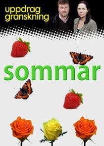 Uppdrag granskning sommar thumbnail