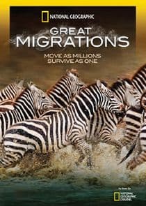 Great Migrations thumbnail