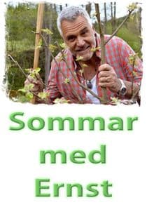 Sommar med Ernst thumbnail