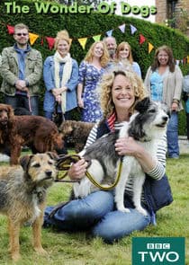 The Wonder of Dogs thumbnail