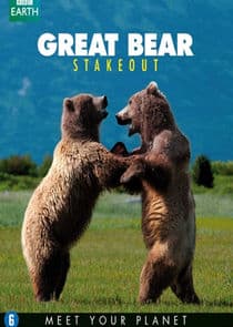 Great Bear Stakeout thumbnail