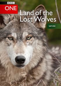 Land of the Lost Wolves thumbnail