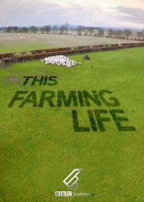 This Farming Life thumbnail