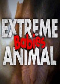 Extreme Animal Babies thumbnail