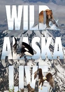 Wild Alaska Live thumbnail