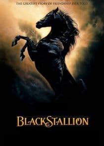 The Adventures of the Black Stallion thumbnail