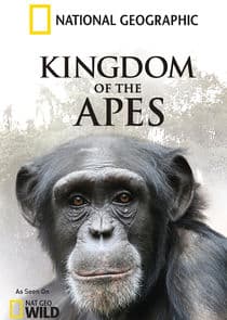 Kingdom of the Apes thumbnail