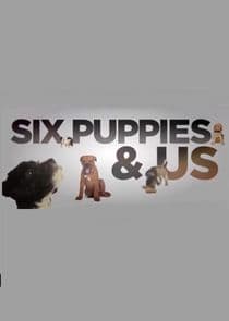 Six Puppies and Us thumbnail
