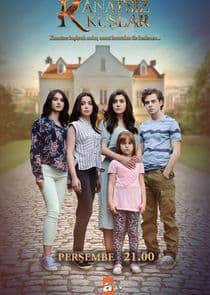 Kanatsız Kuşlar thumbnail