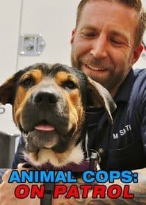 Animal Cops: On Patrol thumbnail