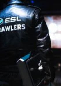 ESL Brawlers thumbnail