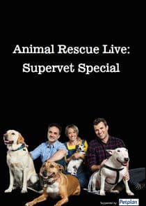Animal Rescue Live: Supervet Special thumbnail