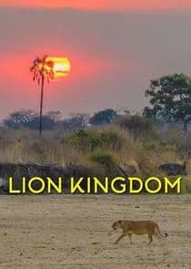 Lion Kingdom thumbnail