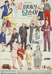 TV Novel: Dal Soon's Spring thumbnail