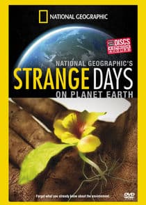 Strange Days on Planet Earth thumbnail