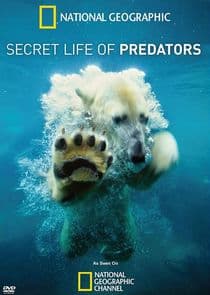Secret Life of Predators thumbnail