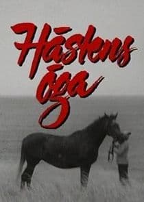 Hästens öga thumbnail