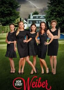 Vorstadtweiber thumbnail