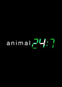 Animal 24:7 thumbnail