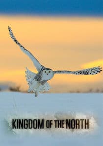 Kingdom of the North thumbnail