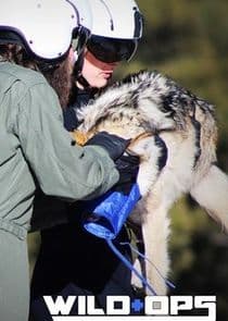 Wild Ops thumbnail
